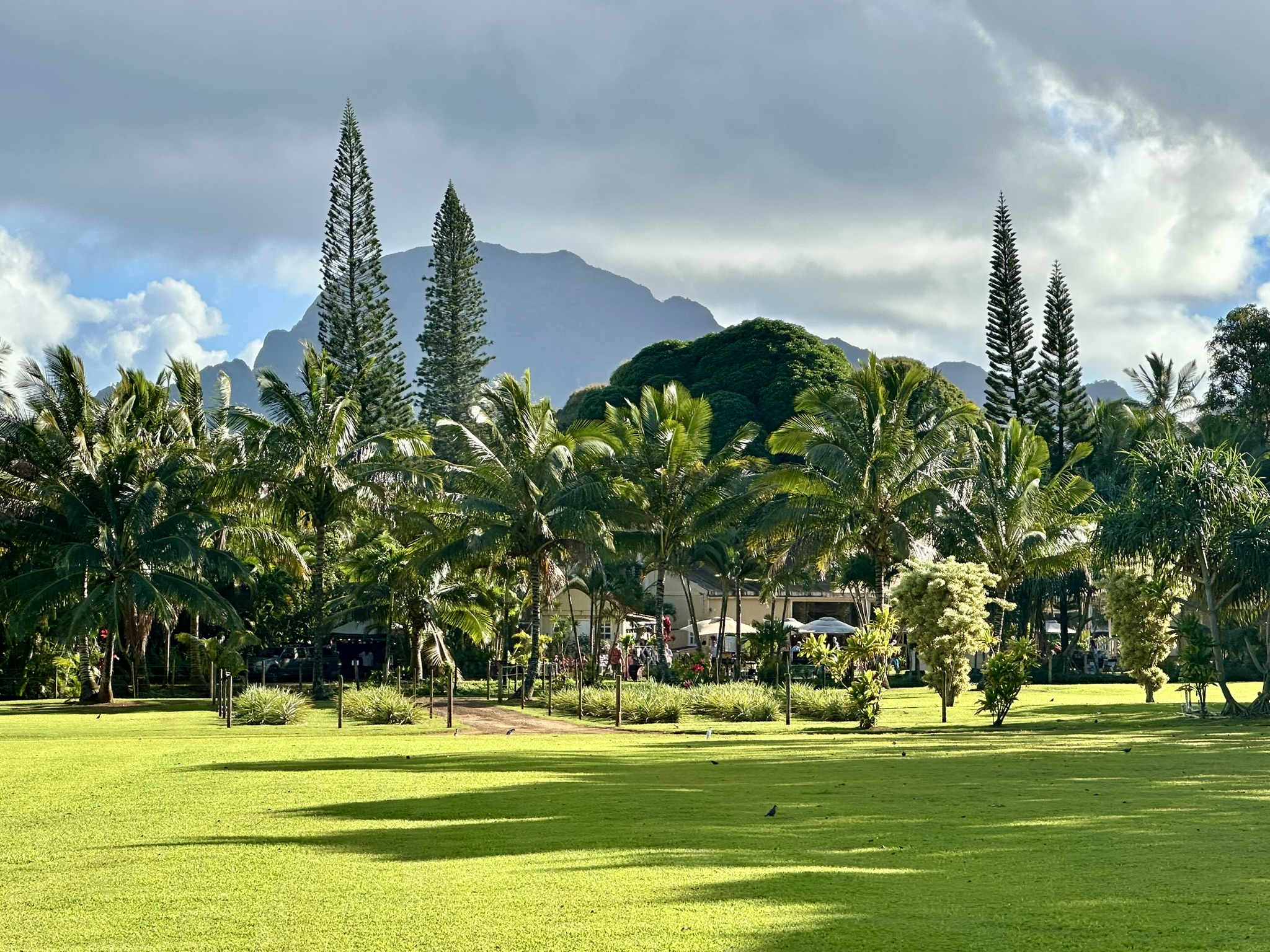 The views in Kauai are spectacular - lush, green and quite picturesque