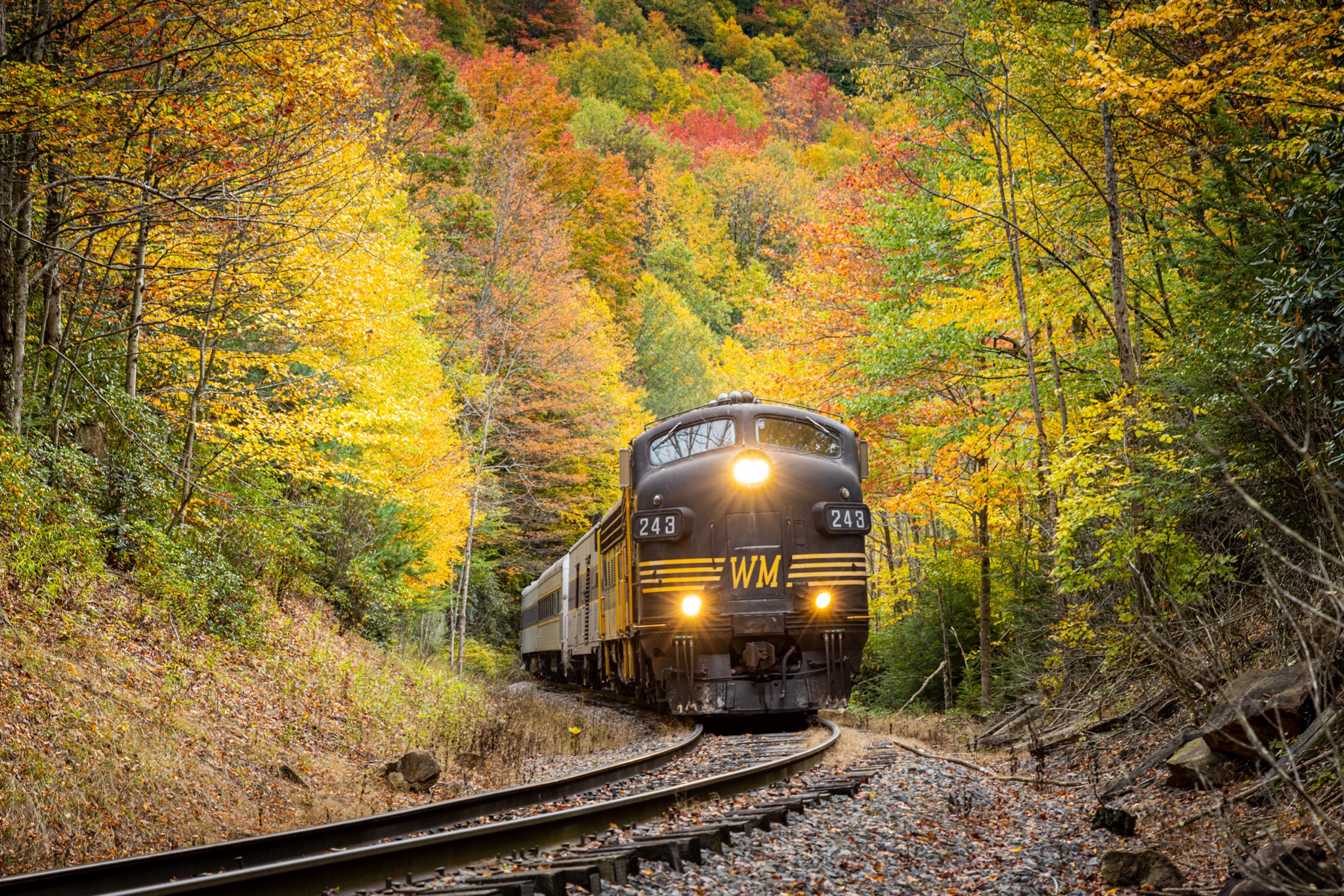 A Classic New Tygart train riding through the wonderous fall colors!